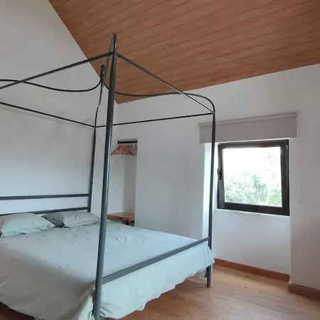 Pomar Oliveiras - Private Swimming Pool - Free Ev Chrg - Pet Friendly *