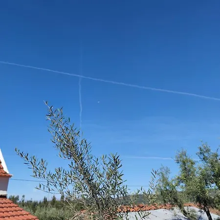 Pomar Oliveiras - Private Swimming Pool - Free Ev Chrg - Pet Friendly فيلة