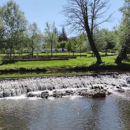 Pomar Oliveiras - Private Swimming Pool - Free Ev Chrg - Pet Friendly *