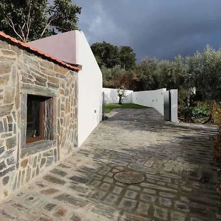 Pomar Oliveiras - Private Swimming Pool - Free Ev Chrg - Pet Friendly 别墅
