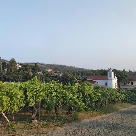 Pomar Oliveiras - Private Swimming Pool - Free Ev Chrg - Pet Friendly Villa *