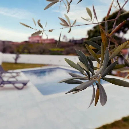 Pomar Oliveiras - Private Swimming Pool - Free Ev Chrg - Pet Friendly * Carvalhal (Castelo Branco)