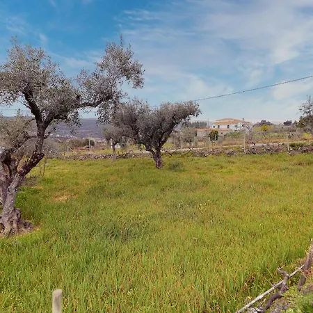 Pomar Oliveiras - Private Swimming Pool - Free Ev Chrg - Pet Friendly فيلة *