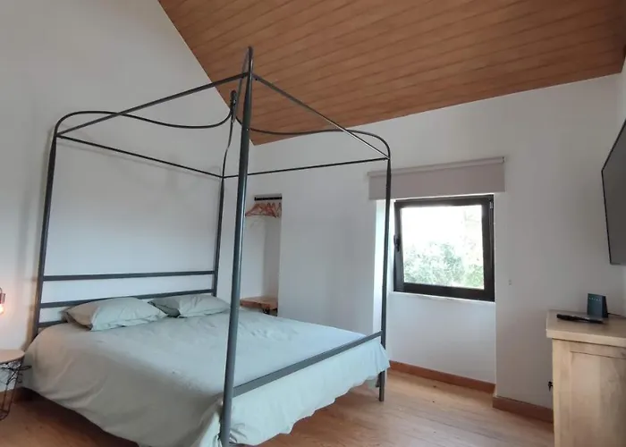 Pomar Oliveiras - Private Swimming Pool - Free Ev Chrg - Pet Friendly *