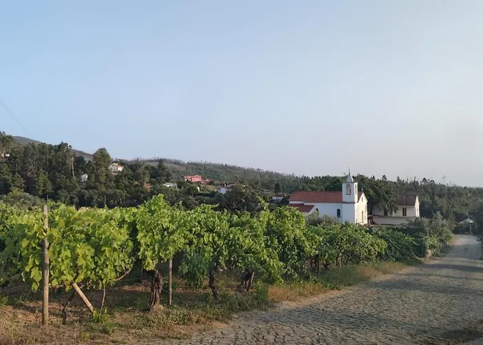 Pomar Oliveiras - Private Swimming Pool - Free Ev Chrg - Pet Friendly Villa *