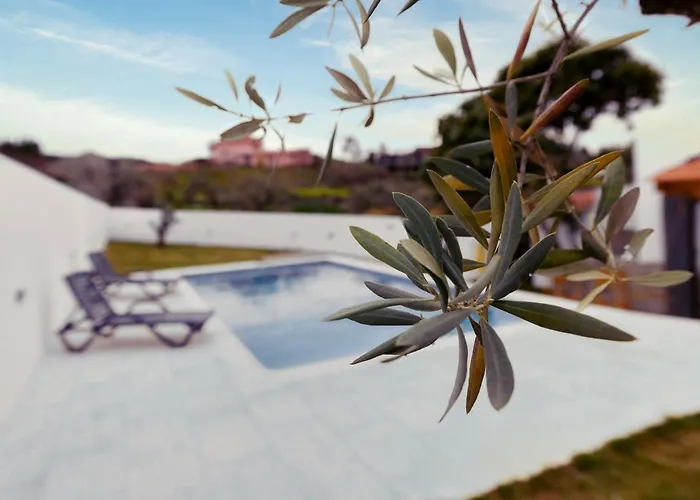 Pomar Oliveiras - Private Swimming Pool - Free Ev Chrg - Pet Friendly * Carvalhal (Castelo Branco)